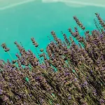 Lavanda Todi Ferienhaus