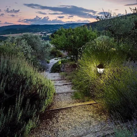 Casa vacanze Lavanda Todi *