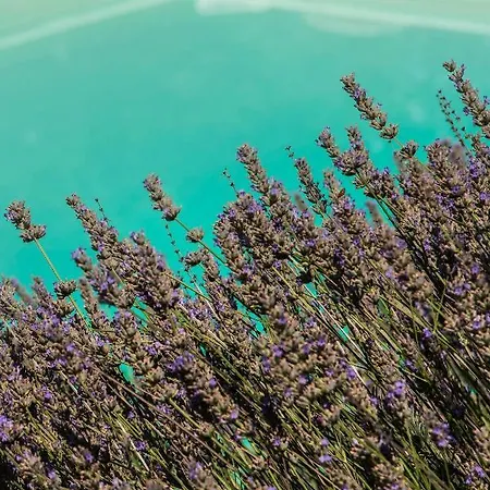 Lavanda Todi Сasa de vacaciones