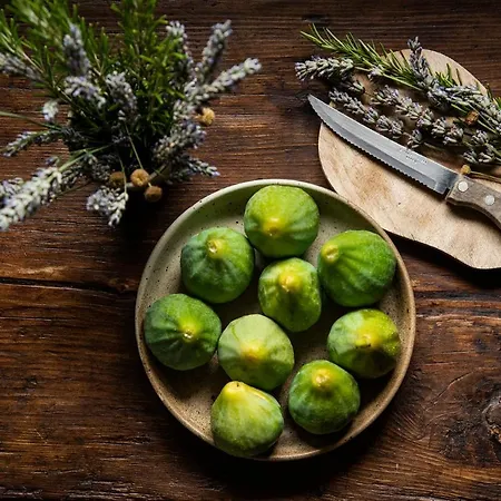 Lavanda Todi Сasa de vacaciones Canonica (Umbria)