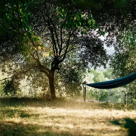 Lavanda Todi Casa vacanze *